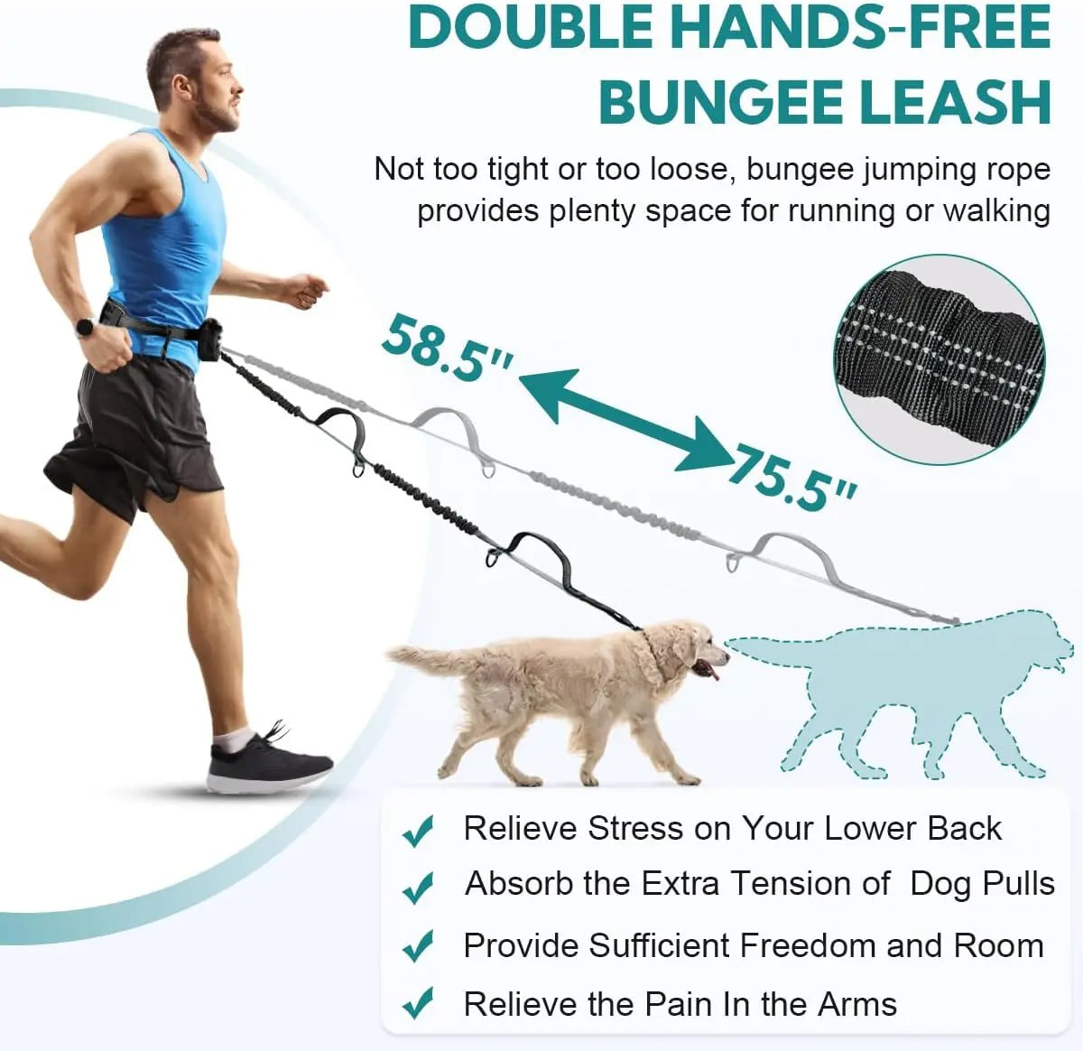 Pipidodo Hands-Free Dual Dog Leash with Waist Bag & Cushioned Pad – Walk Two Dogs with Ease No Tangles No Stress
